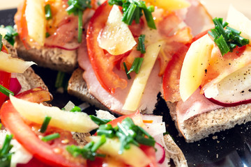 Delicious healthy homemade sandwiches with vegetables and cold cuts on the plate. Shallow depth of focus.