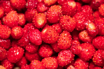 Red ripe strawberry from the forest as a background
