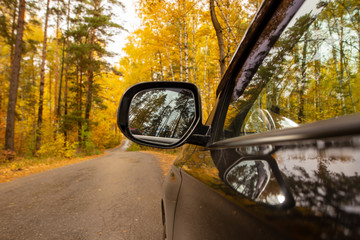 Black car on the road in the forest in autumn