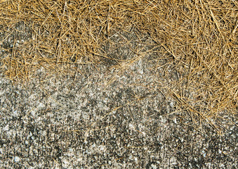 Dried straw falls on the concrete floors