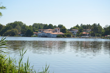 Fototapeta premium étang de soustons