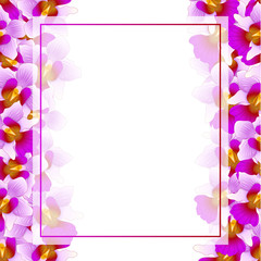 Purple Vanda Miss Joaquim Orchid Banner Card Border