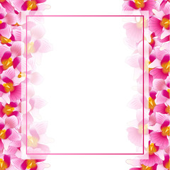Pink Vanda Miss Joaquim Orchid Banner Card Border