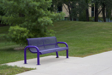 Purple park bench on a sidewalk, surrounded by grassy lawn with trees and bushes