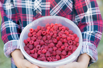 The girl is holding a bucket of ripe fresh raspberries. Summer food, vitamins. Summer background.