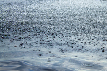 Fototapeta na wymiar raindrops on water surface