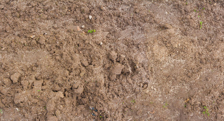 Fertile plowed soil background