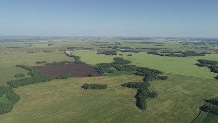  Stunning summer landscape. Endless green meadows and fields.