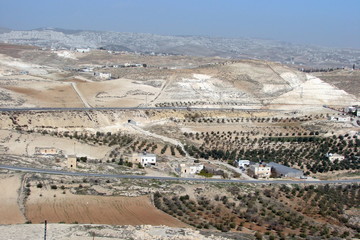 A view from the height of the bird's eye of a small Jewish settlement surrounded by artificially planted olive trees under the rays of the midday sun.