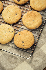 tasty oat cookie on grill tray