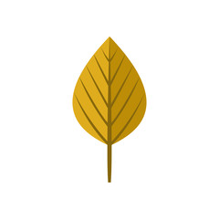 Round Dry Yellow Autumn Leaf Illustration Symbol Graphic Design