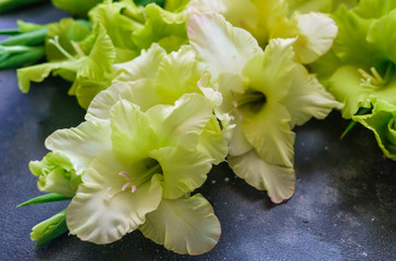 Bouquet of flowers gladiolus with an unusual greenish-yellow tinge of flowers