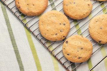 tasty oat cookie on grill tray