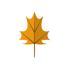 Simple Maple Orange Autumn Leaf Illustration Symbol Graphic Design