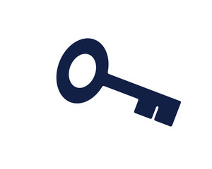 key glyph icon , designed for web and app