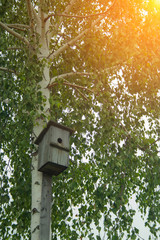 Old hand-made feeding trough