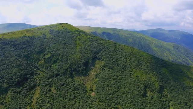 Aerial of a green mountain creast of a triangular form in the Carpathians in summer