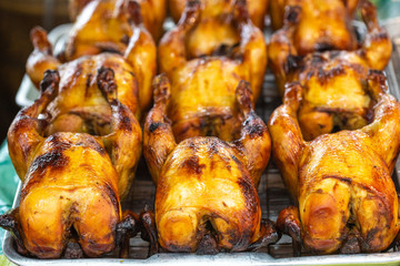 The Group of Grilled Chicken