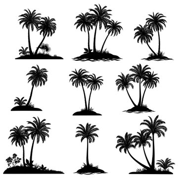 Set Exotic Landscapes, Sea Islands with Palm Trees, Tropical Plants and Grass Black Silhouettes Isolated on White Background. Vector