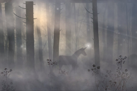 the unicorn is walking in a fairy forest. morning magic forest