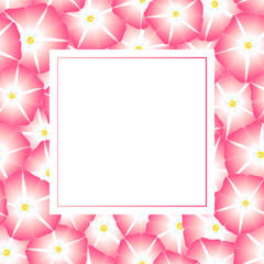 Pink Morning Glory Flower Banner Card