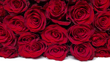 Bouquet of flowers: fresh red roses