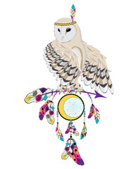 Owl with dreamcatcher