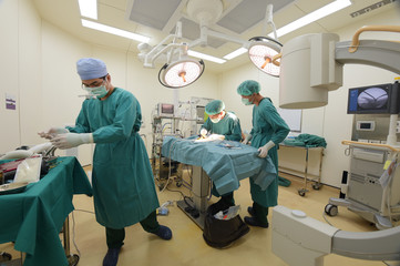 group of veterinarian surgery in operation room