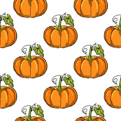 Seamless pattern with pumpkins. Vector illustration. Hand drawn