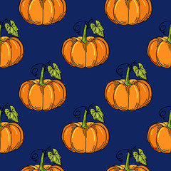 Seamless pattern with pumpkins. Vector illustration. Hand drawn