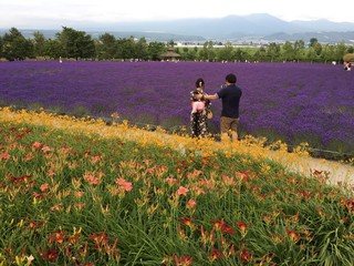 Furano, Hokkaido of Japan