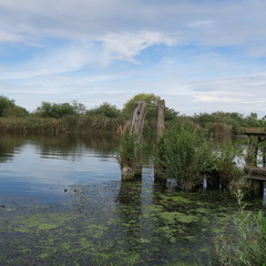 lonely beach on the river peene near loitz, mecklenburg-western pomerania germany in summer