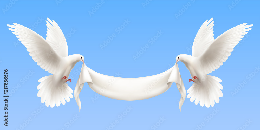 Canvas Prints white pigeons realistic banner