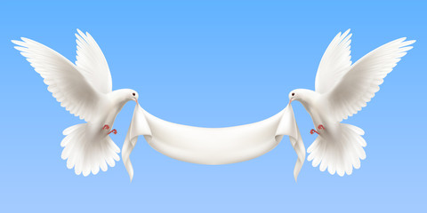 White Pigeons Realistic Banner