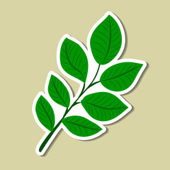 leaf of simple color illustrations