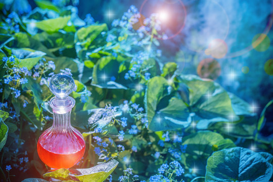 magic potion in bottle outdoor