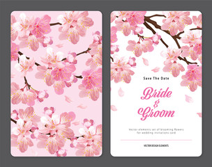 Sakura flowers background template. Vector set of blooming floral for holiday invitations, greeting card and fashion design. © mamsizz