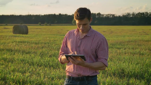 Successful confident young man in shirt typing on tablet and standing on straw field, looking around, beautiful view in background