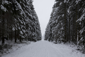 Snow track