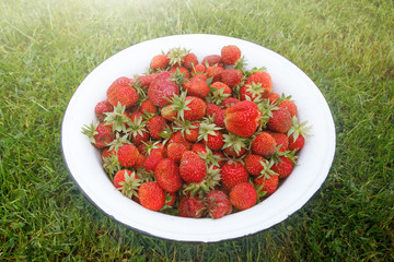Red strawberries in a white bowl. Natural food, a healthy lifestyle.