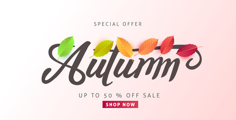 Autumn sale background layout decorate with leaves for shopping sale or promo poster and frame leaflet or web banner.Vector illustration template.