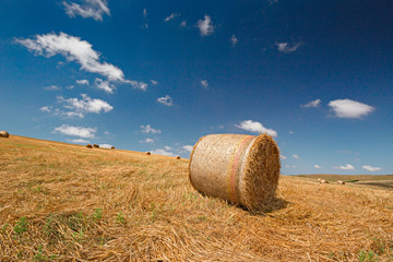 Panoramic view of a wheat field after harvest, with rolled straw bales.