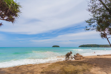 big waves hit the Pandanus trees on Kata beach Phuket were shattered during the monsoon season.