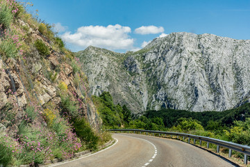 Argüello Biosphere Reserve. Declared by UNESCO in 2005, the Argüellos Biosphere Reserve is an area of special value, not only because of the importance of the Cantabrian flora and fauna. (Leon, Spain)