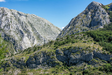 Argüello Biosphere Reserve. Declared by UNESCO in 2005, the Argüellos Biosphere Reserve is an area of special value, not only because of the importance of the Cantabrian flora and fauna. (Leon, Spain)