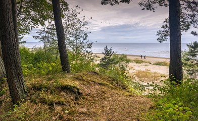Coastal landscape, Baltic Sea, Jurmala, Latvia, Europe
