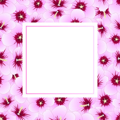 Obraz premium Hibiscus syriacus - Rose of Sharon Banner Card