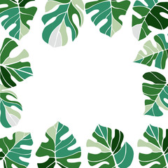 Vector background  with  hand drawn tropical plants. Monstera plant.