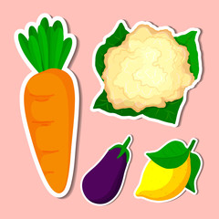 set vegetable of simple color illustrations