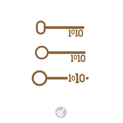 Set of keys with binary code. Digital security system icon. The key to the program code. Innovative concept key. Simple flat icon symbol